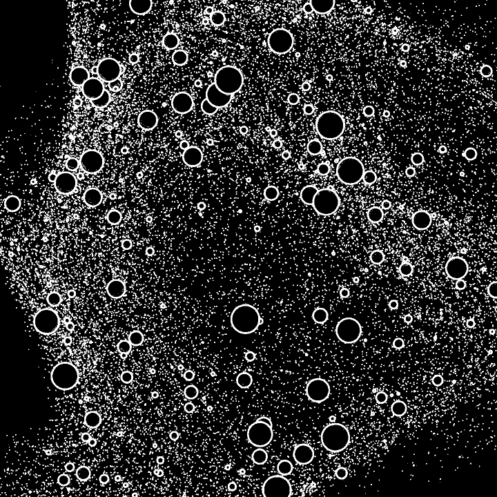Curl Noise Bubbles